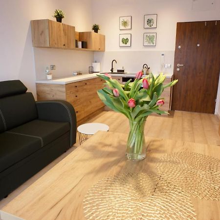 Apartament Na Piernikowym Z Miejscem Postojowym Stary Toruń Exterior foto